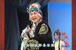 对花枪 片段