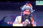 河北梆子朱元璋斩婿