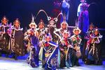 河北梆子瓦桥关 击退辽兵 武戏 郝世超饰杨延昭 片段