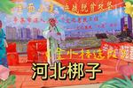 河北梆子《金水桥 选段 片段》下载 河北梆子《金水桥 选段 片段》下载