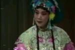河北梆子蝴蝶杯 片段