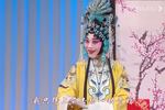 打金枝 劝婿 片段