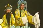打金枝 劝婿 片段