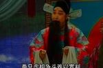 蝴蝶杯 劝大人 片段