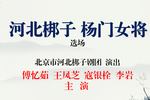 杨门女将