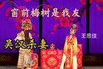 河北梆子吴汉杀妻 窗前梅树是我友 片段