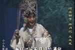 拜月记 片段 宝鼎中焚名香诉我幽怨