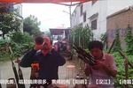 河南曲剧 悲情唢呐