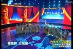 梨园春梨园春万紫千红总是春中国剧协七届二次理事会联欢晚会