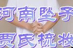河南坠子小八义 贾氏梳妆 片段