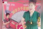 河南坠子大宋金鸠记