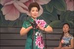 河南坠子盗仙草 片段