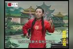 河南坠子贤良女劝夫