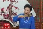 河南坠子王华买爹