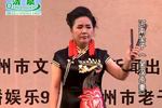 河南坠子吴汉杀妻