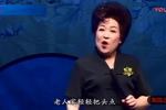 河南坠子慈母泪 片段