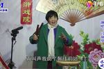 河南坠子刀劈杨凡 片段