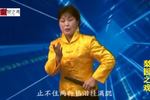 王华后传 第七集