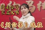 河南坠子刘公案 选段 片段
