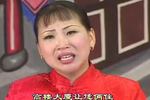 河南坠子《大瞎话》下载 河南坠子《大瞎话》下载