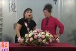 河南坠子少国公私访 全集