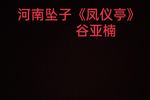 河南坠子凤仪亭 片段