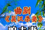 河南曲剧吴汉杀妻 选段 片段
