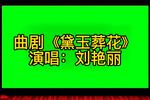 河南曲剧黛玉葬花 片段