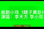 河南曲剧瞎子算卦