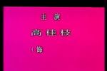 河南曲剧江姐