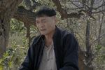 李祥和的婚事 片段