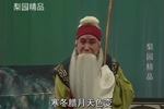 河南曲剧三子争父续集 片段