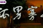 河南曲剧孤男寡女