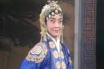 河南曲剧困皇陵 片段