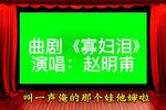 寡妇泪 片段