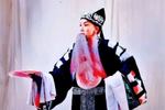 收姜维