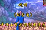 河南越调钓金龟 全场