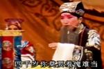 收姜维 片段