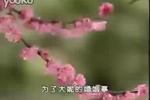 李天保取妻 选段 满天乌云风吹散 片段