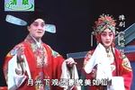豫剧疯哑怨