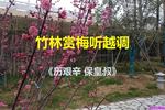 历艰辛 保皇叔  片段