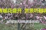 三献爵孔明我躬身拜叩  片段
