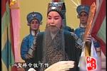 收姜维 一 片段