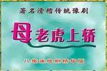 豫剧母老虎上轿 全场戏