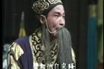 收姜维 片段