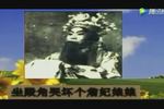 河南越调哭殿 节选 大宝贝
