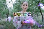 诸葛亮吊孝 灵前故友申晓枫 名家申小梅弟子演唱 片段