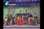 李天宝娶亲 公堂 片段