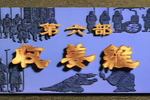 诸葛亮 收姜维