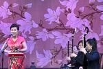 京韵大鼓黛玉焚稿 宝玉探晴雯 片段